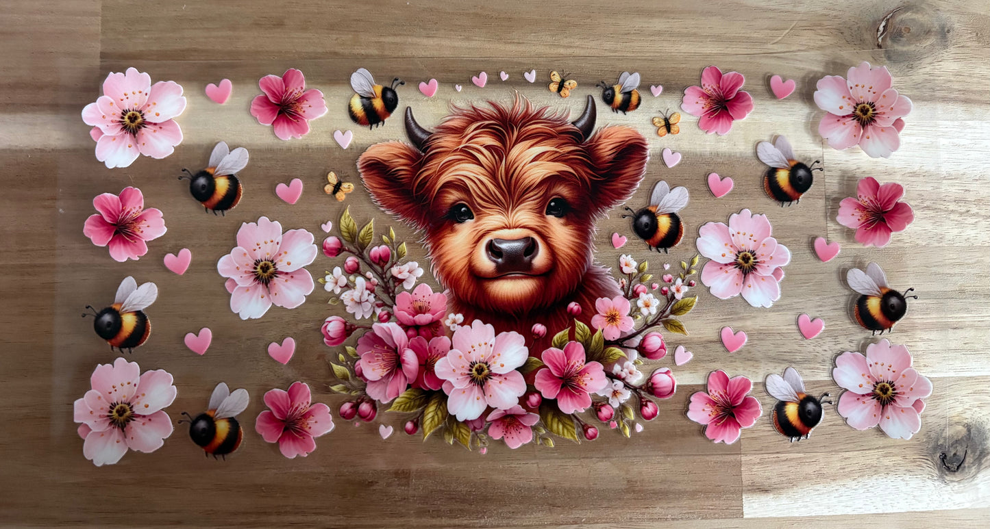 Highland Cow